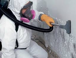 Best Emergency Mold Remediation  in Eaton Estates, OH